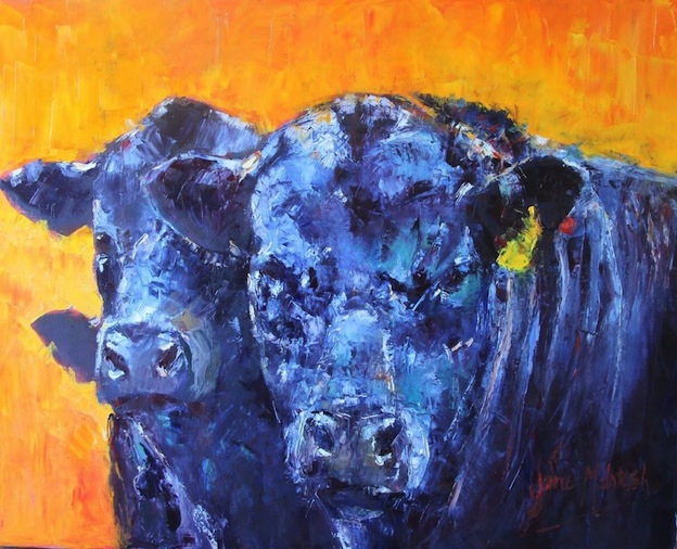 Jane McIntosh | Angus Bull & Cows| McATamney Gallery and Design Store | Geraldine NZ